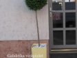 VB design fodr�sz�zlet